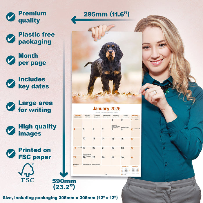 Gordon Setter 2026 Square Wall Calendar (Online Exclusive)