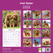 Irish Setter 2026 Square Wall Calendar (Online Exclusive)