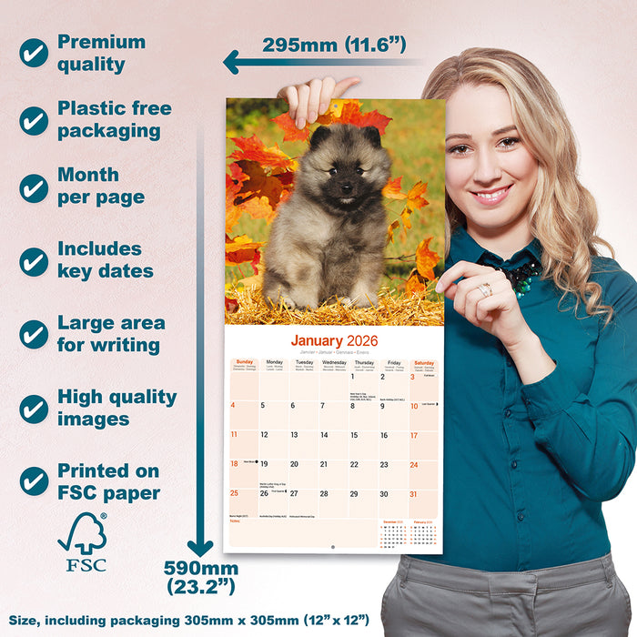 Keeshond 2026 Square Wall Calendar