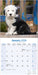 Old English Sheepdog 2026 Square Wall Calendar