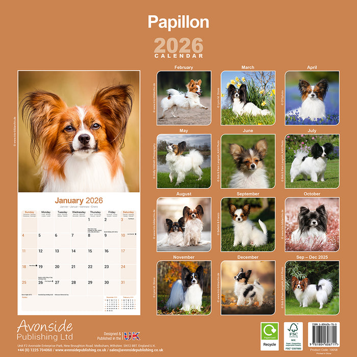 Papillon 2026 Square Wall Calendar