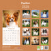 Papillon 2026 Square Wall Calendar