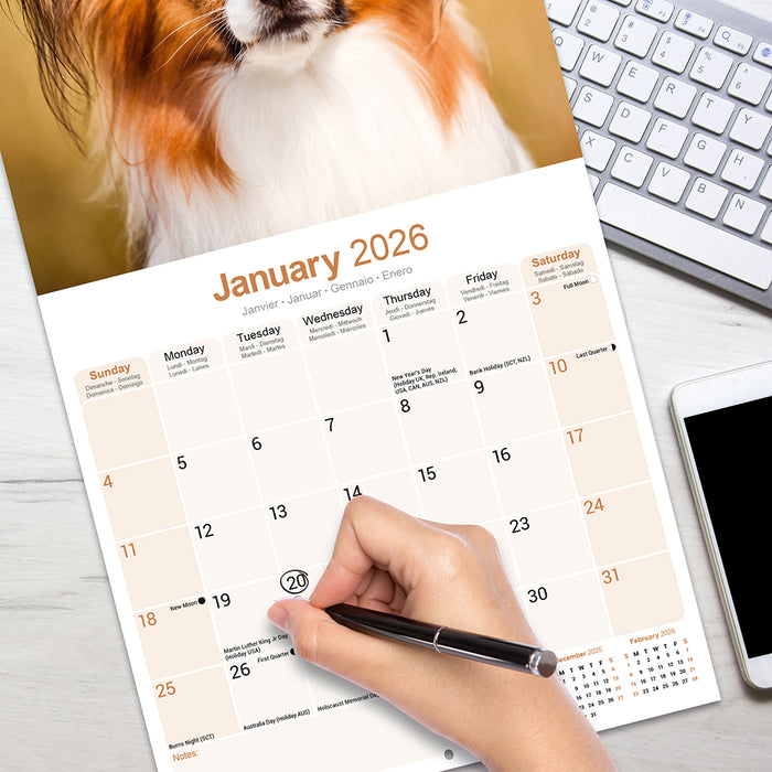 Papillon 2026 Square Wall Calendar