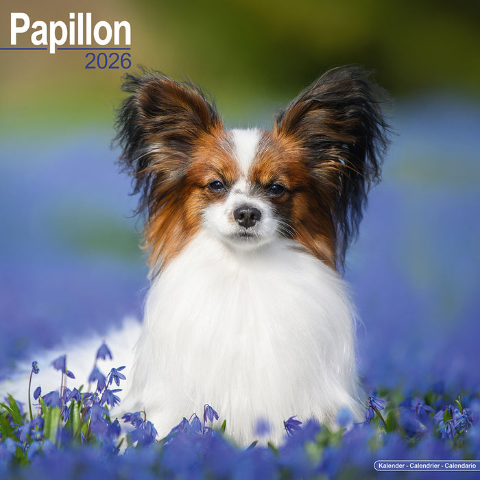Papillon 2026 Square Wall Calendar
