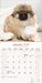 Pekingese 2026 Square Wall Calendar