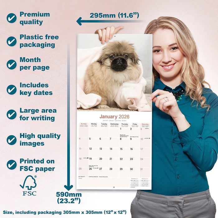Pekingese 2026 Square Wall Calendar