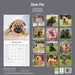 Shar Pei 2026 Square Wall Calendar (Online Exclusive)