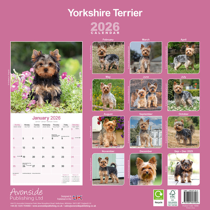 Yorkshire Terrier 2026 Square Wall Calendar