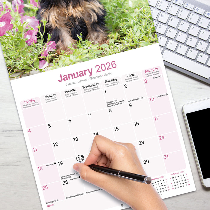 Yorkshire Terrier 2026 Square Wall Calendar