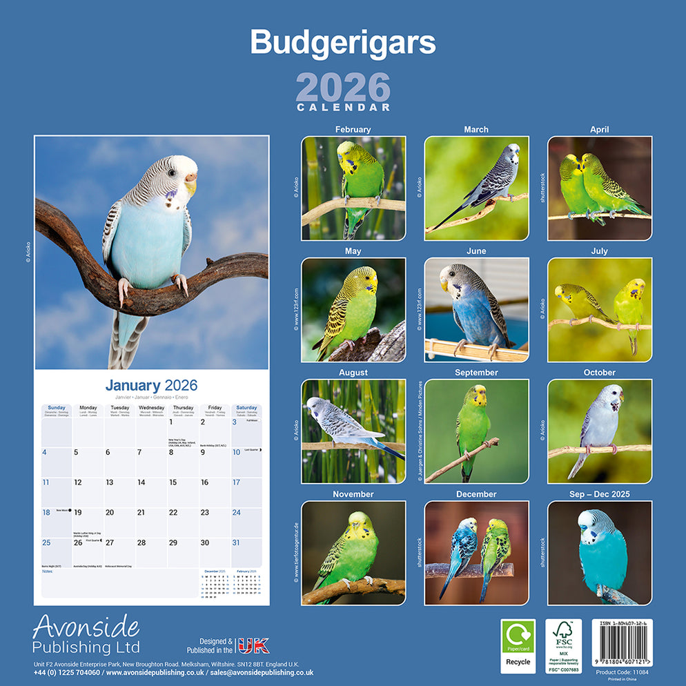 Breathe - 2026 Square Wall Calendar – Spiffy - The Happiness Shop