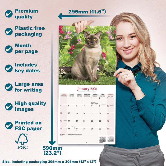 Burmese Cats 2026 Square Wall Calendar