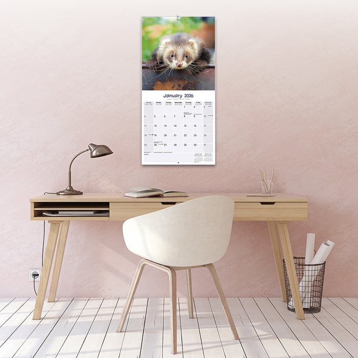 Ferrets 2026 Square Wall Calendar (Online Exclusive)