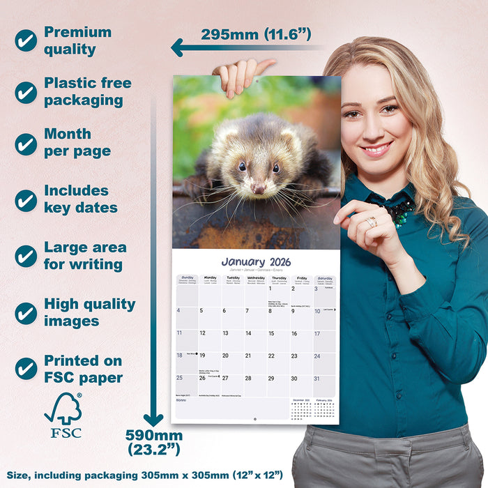 Ferrets 2026 Square Wall Calendar (Online Exclusive)