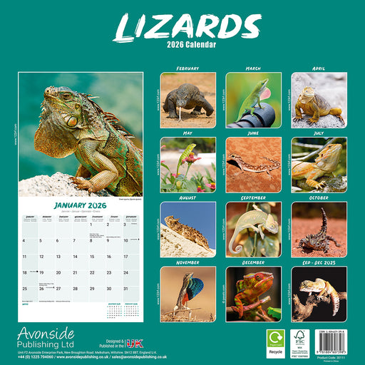 Lizards 2026 Square Wall Calendar