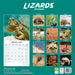 Lizards 2026 Square Wall Calendar