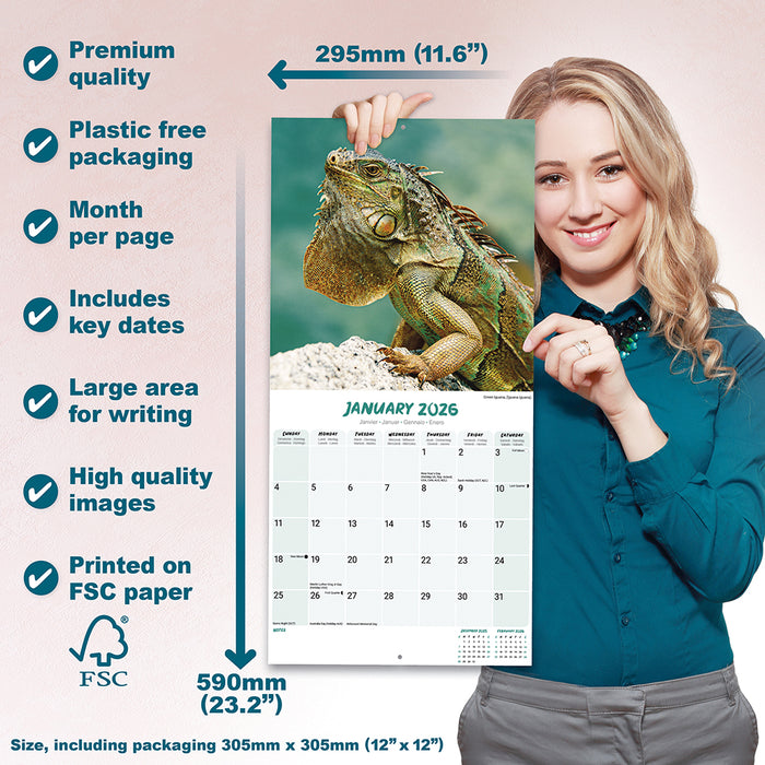 Lizards 2026 Square Wall Calendar
