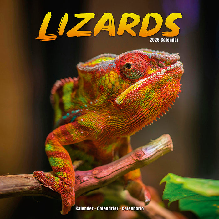 Lizards 2026 Square Wall Calendar