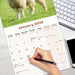 Sheep 2026 Square Wall Calendar (Online Exclusive)