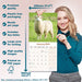 Sheep 2026 Square Wall Calendar (Online Exclusive)
