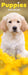 Puppies 2026 Slimline Wall Calendar