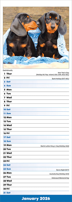 Puppies 2026 Slimline Wall Calendar