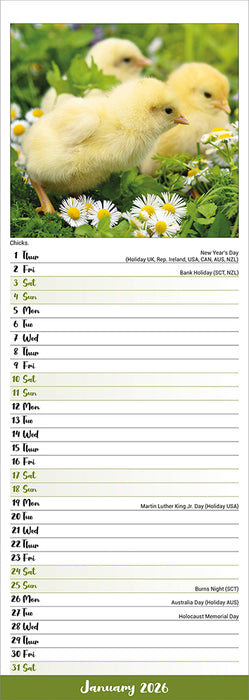 Chickens 2026 Slimline Wall Calendar