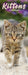 Kittens 2026 Slimline Wall Calendar