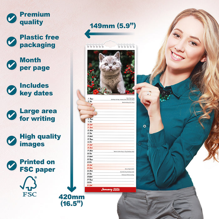 Kittens 2026 Slimline Wall Calendar