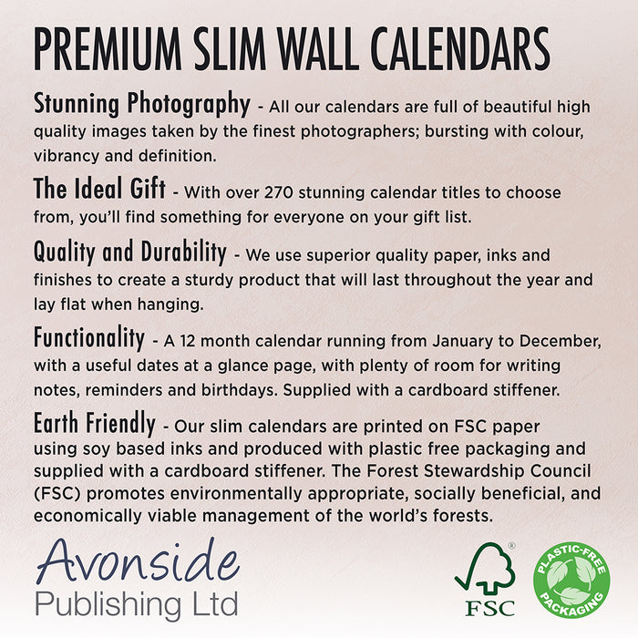 Kittens 2026 Slimline Wall Calendar