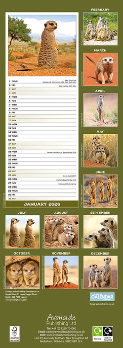 Meerkats 2026 Slimline Wall Calendar