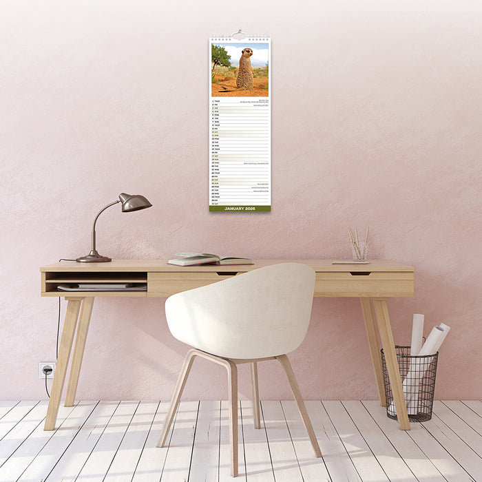 Meerkats 2026 Slimline Wall Calendar