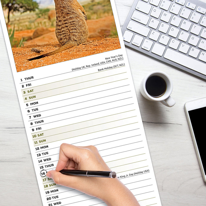 Meerkats 2026 Slimline Wall Calendar