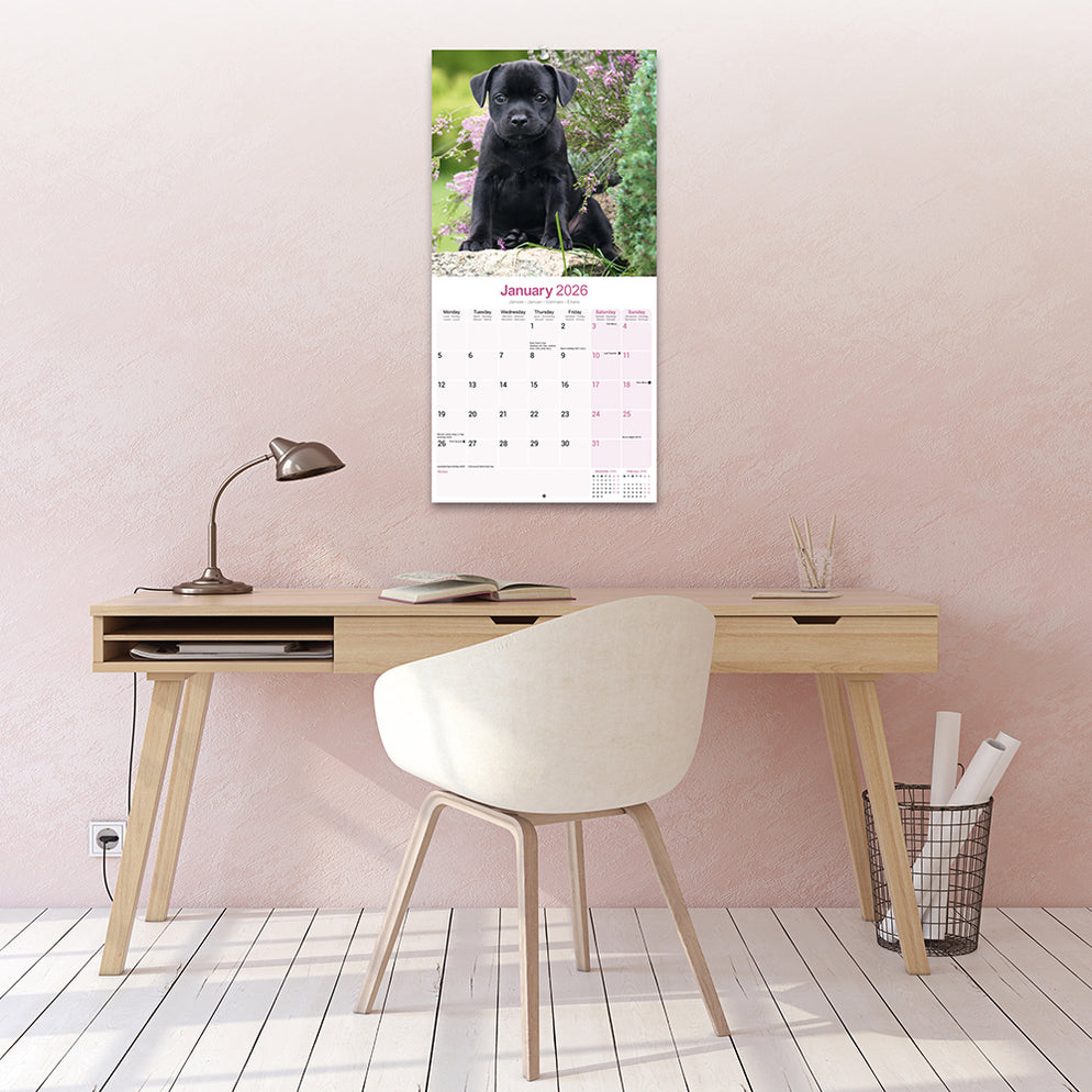 Staffordshire Bull Terrier A3 Kalender 2026 Kopen? Bestel Online