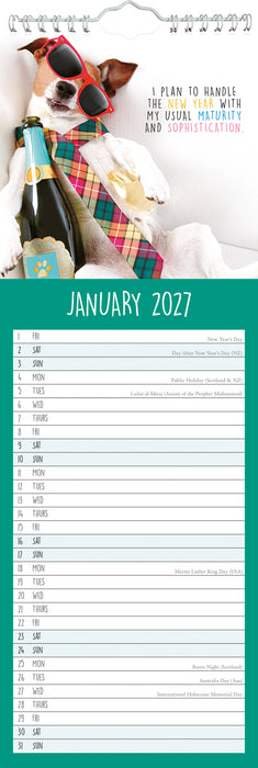 Animal Antics 2027 Slimline Wall Calendar