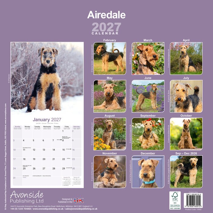 Airedale Terrier 2027 Square Wall Calendar