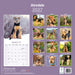 Airedale Terrier 2027 Square Wall Calendar
