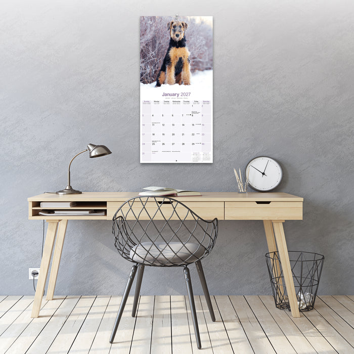 Airedale Terrier 2027 Square Wall Calendar