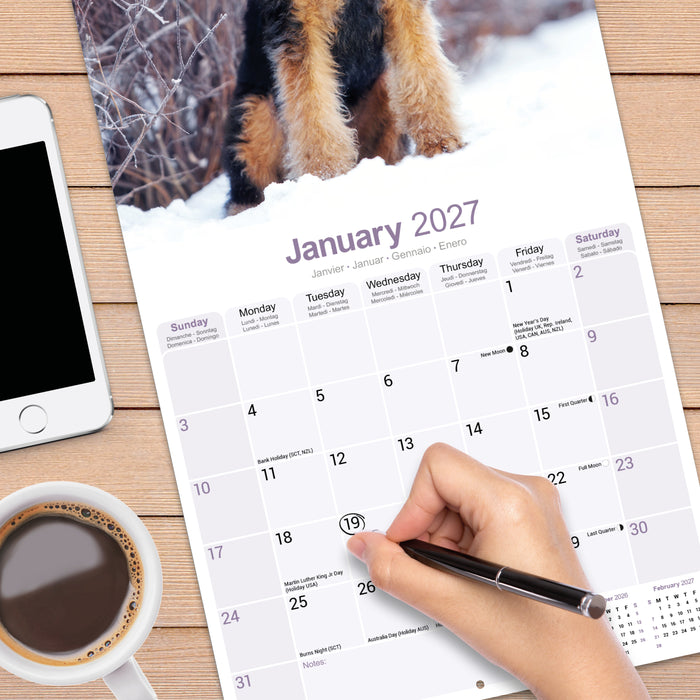 Airedale Terrier 2027 Square Wall Calendar