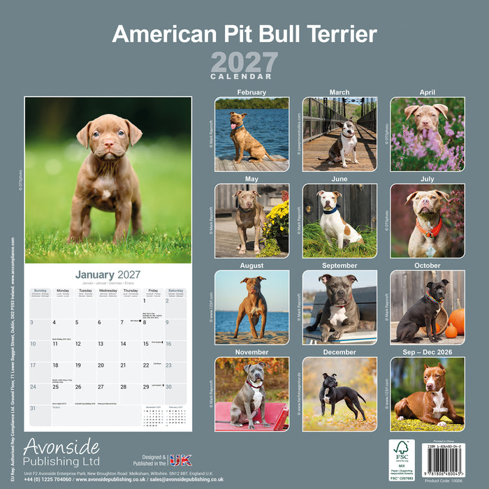 American Pit Bull Terrier 2027 Square Wall Calendar