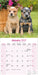 Australian Cattle Dog 2027 Square Wall Calendar