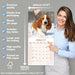 Basset Hound 2027 Square Wall Calendar