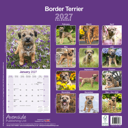 Border Terrier 2027 Square Wall Calendar