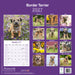 Border Terrier 2027 Square Wall Calendar