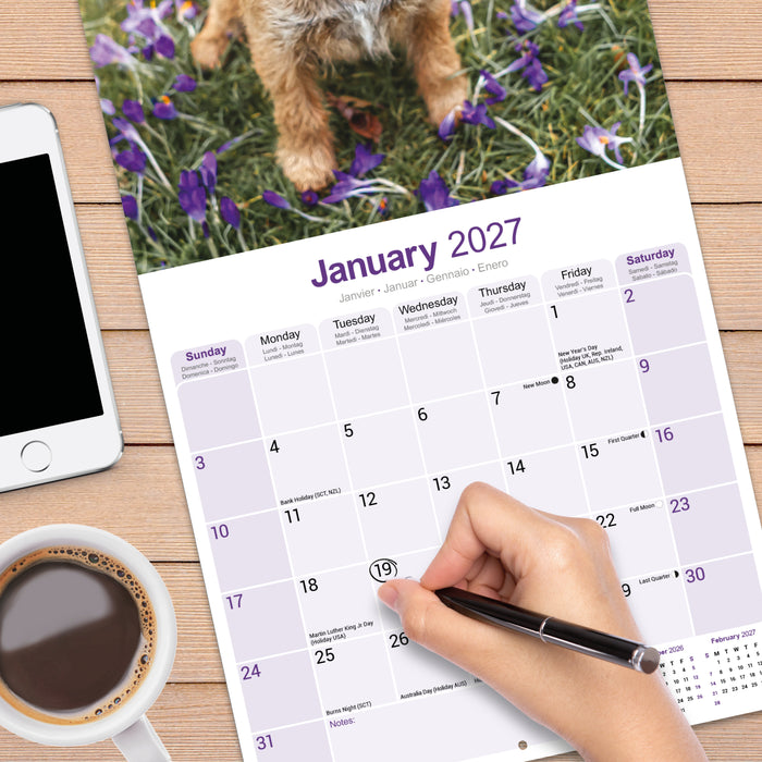 Border Terrier 2027 Square Wall Calendar