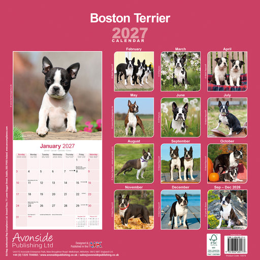 Boston Terrier 2027 Square Wall Calendar