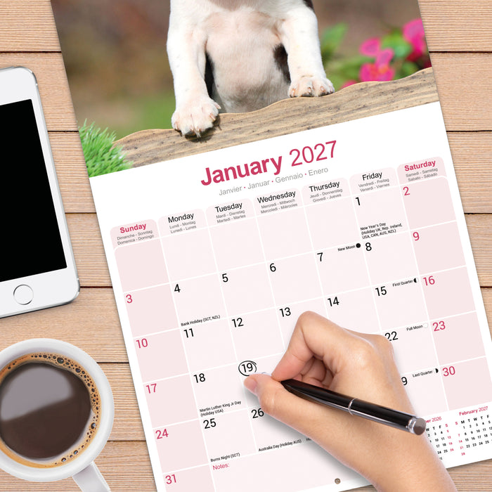 Boston Terrier 2027 Square Wall Calendar