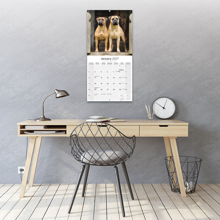 Bull Mastiff 2027 Square Wall Calendar