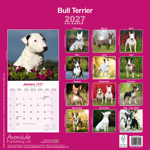 Bull Terrier 2027 Square Wall Calendar