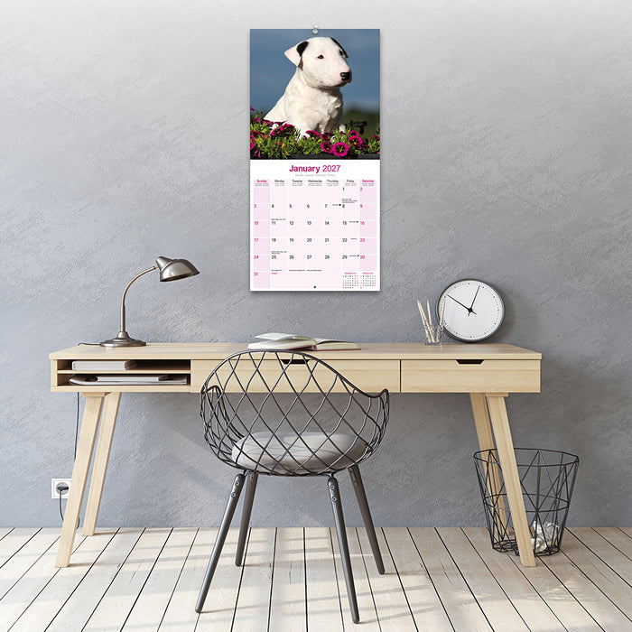 Bull Terrier 2027 Square Wall Calendar