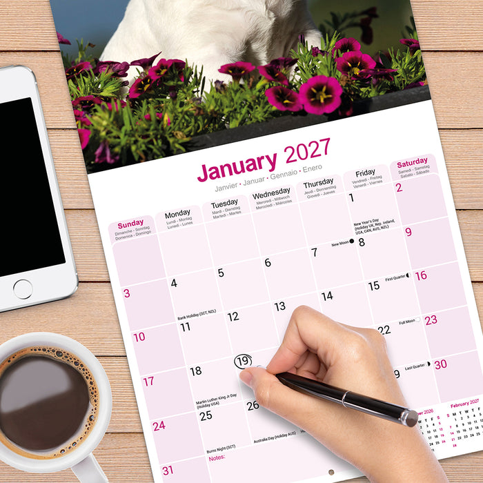 Bull Terrier 2027 Square Wall Calendar